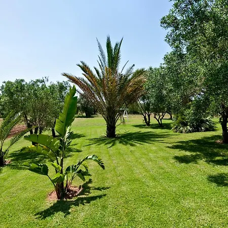 Çiftlik konaklama Olive Garden House *
